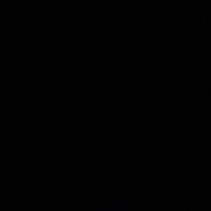 Meet your Posher, Tony